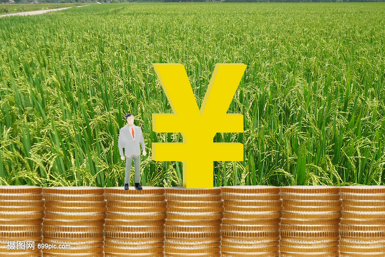 重庆借贷指南